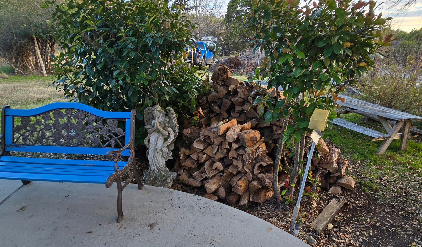 Pecan Firewood